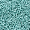 MIYUKI Delica Beads SEED-JP0008-DB1567-3
