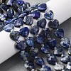 Natural Lapis Lazuli Beads Strands G-P570-E12-01-1
