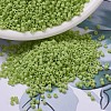 MIYUKI Delica Beads Small X-SEED-J020-DBS0733-1