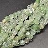 Watermelon Stone Glass Beads Strands G-P092-35-1