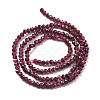 Natural Garnet Beads Strands G-H079-A01-02B-3