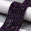 Electroplate Glass Beads Strands GLAA-H021-01B-FP09-3