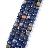 Natural Sodalite Beads Strands G-C038-02E-1