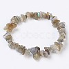 Natural Labradorite Stretch Bracelets BJEW-JB03681-07-1