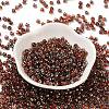 Transparent Inside Colours Glass Seed Beads SEED-H002-A-C205-2