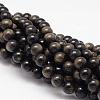 Natural Golden Sheen Obsidian Beads Strands G-K115-13-8mm-1