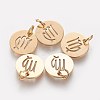 304 Stainless Steel Charms STAS-Q201-T445-6G-1