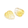 Two-Tone Transparent Glass Charms X-GLAA-H016-15J-2