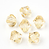 Transparent Acrylic Beads TACR-S146-6mm-06-2