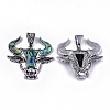 Abalone Shell/Paua Shell Pendants RESI-S376-04-2