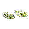 Transparent Acrylic Cabochons TACR-N006-66B-3