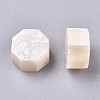 Sealing Wax Particles DIY-E033-A31-2