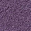MIYUKI Delica Beads SEED-X0054-DB1173-3