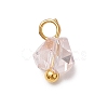 Electroplate Glass Charms PALLOY-JF04004-5