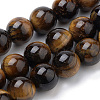Natural Tiger Eye Beads Strands G-S259-21-8mm-1