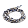 Natural Sodalite Beads Strands G-J400-A06-01-3