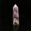 Point Tower Natural Amethyst Home Display Decoration PW23030656495-1