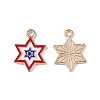 Independence Day Alloy Enamel Pendants ENAM-K067-36-3