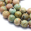 Natural Peruvian Turquoise(Jasper) Beads Strands G-E561-11-8mm-AB-3