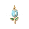 Alloy Enamel Pendants PALLOY-JF04388-3
