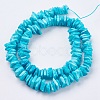 Natural Sea Shell Beads Strands X-BSHE-K012-08C-2