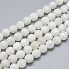 Natural Rainbow Moonstone Beads Strands G-G792-34A-1