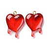 Transparent Resin Pendants RESI-F028-01-2