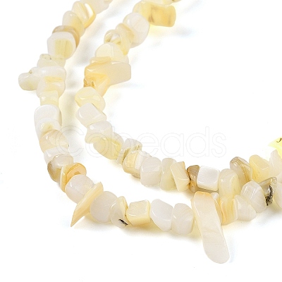 Natural Freshwater Shell Beads Strands BSHE-G036-02-1