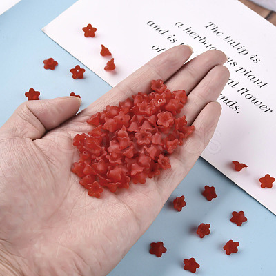 Transparent Acrylic Beads X-PL554-01-1