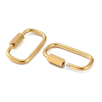 304 Stainless Steel Locking Carabiner STAS-C092-05H-G-1