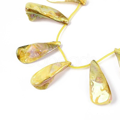 AB Color Plated Dyed Natural Freshwater Shell Beads Strands X-SHEL-T020-55D-1