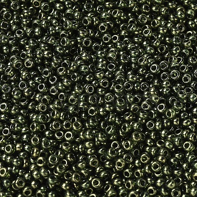 MIYUKI Round Rocailles Beads X-SEED-G007-RR0306-1