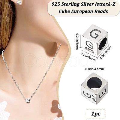 Sterling Silver Beads STER-WH20009-04G-P-1