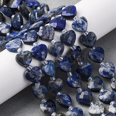 Natural Lapis Lazuli Beads Strands G-P570-E12-01-1