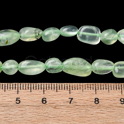 Natural Prehnite Beads Strands G-G018-64-1