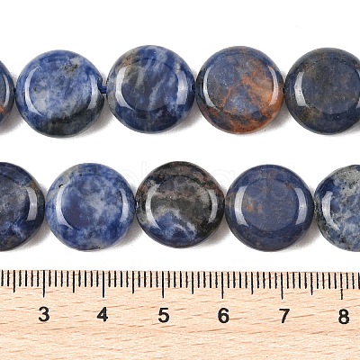Natural Sodalite Beads Strands G-L648-B07-15mm-1