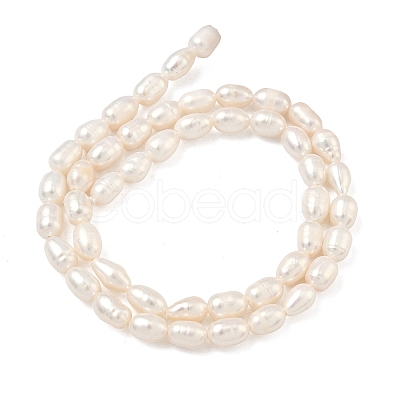 Natural Cultured Freshwater Pearl Beads Strands PEAR-D003-01D-14-1