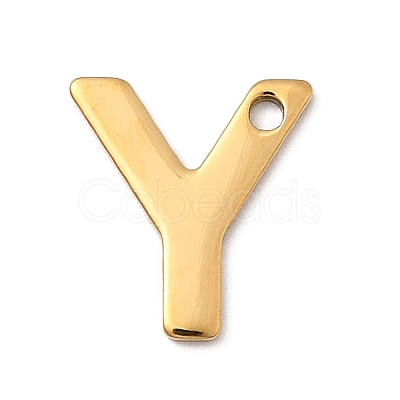 304 Stainless Steel Charms STAS-B093-12G-Y-1