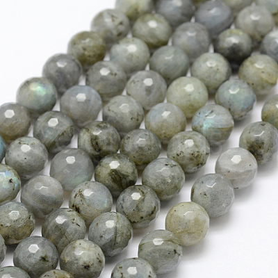 Natural Labradorite Beads Strands G-P322-28-10mm-1