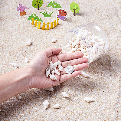 Natural Trumpet Shell Beads BSHE-KS0001-01-1