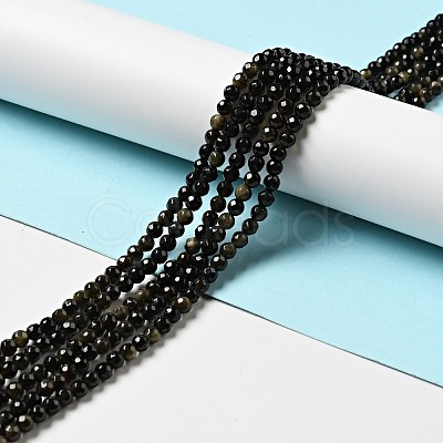 Natural Golden Sheen Obsidian Beads Strands G-P476-01A-04-1