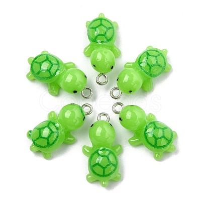 10Pcs Opaque Resin Pendants RESI-YW0002-10D-1