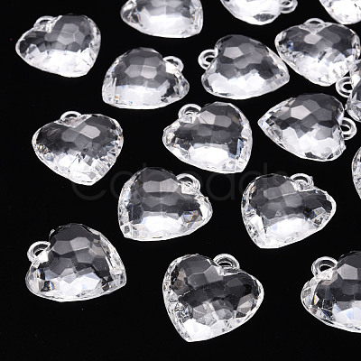 Transparent Acrylic Pendants X-TACR-T024-03B-205-1