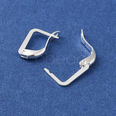 Brass Hoop Earring Findings FIND-Z039-29S-1