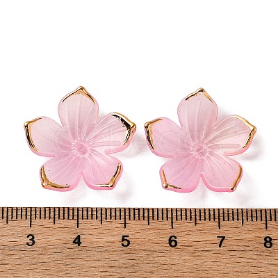 Transparent Acrylic Bead Caps TACR-P011-03B-1