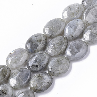 Natural Labradorite Beads Strands G-S359-001B-1