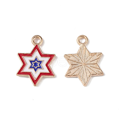 Independence Day Alloy Enamel Pendants ENAM-K067-36-1