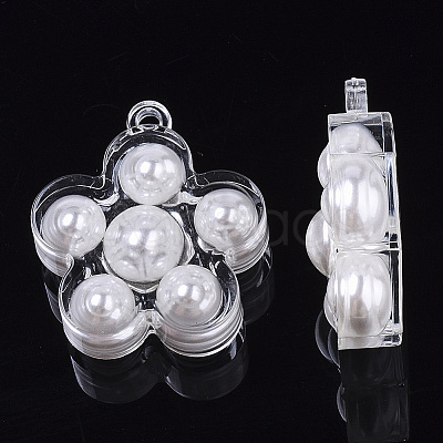 Transparent Acrylic Pendants TACR-R146-001-1