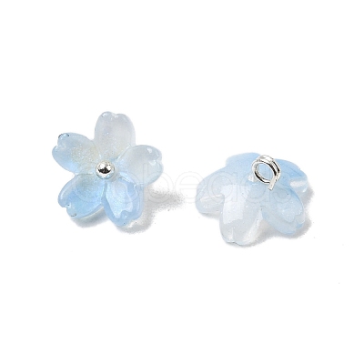 Glass Charms GLAA-G127-05E-1
