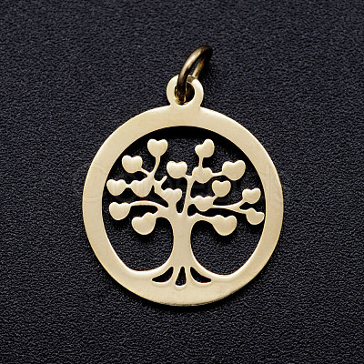 304 Stainless Steel Pendants LS-STAS-T046-JA350-2A-G-1